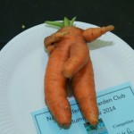 Entry into most humorous vegetable