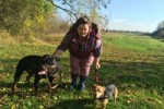 sarahs-pet-care-services