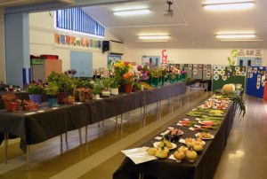 hall ready to be judged small